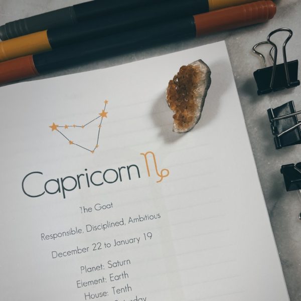 Capricorn Zodiac Notebook