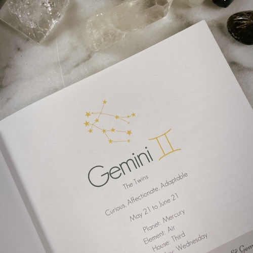 Gemini Zodiac Notebook