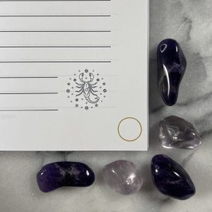 Scorpio Zodiac Notebook - Image 5
